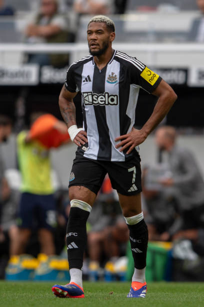 返巅峰的一 返巅峰的一