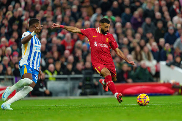 还对其处以 还对其处以